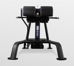 Гиперэкстензия Bronze Gym BR-1018