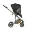 Коляска ANEX Eli 2 в 1 Woody