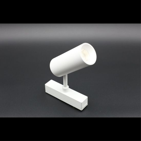 Светильник трековый APL.0116.10.10