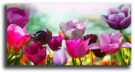 Постер "Весенние бутоны"