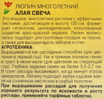 Люпин Алая свеча 0,2 г СМЦ-226