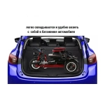 Электротрицикл Elbike Адъютант А1 250W