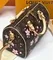 Сумка LOUIS VUITTON х TM Speedy 25, коричневый