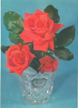Открытка «Розы в вазе» фото Б. Круцко