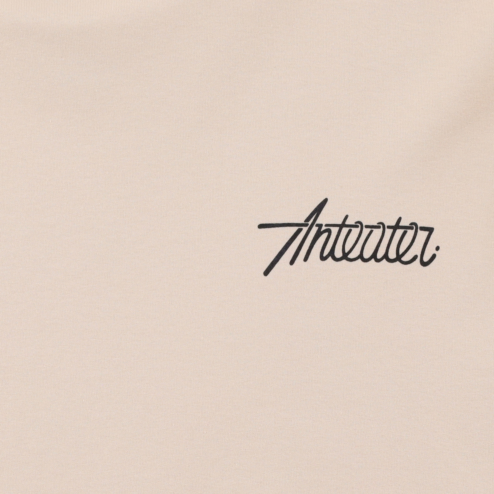 Лонгслив Anteater Phat Long106 (light-beige) артикул: - купить в магазине Дайс