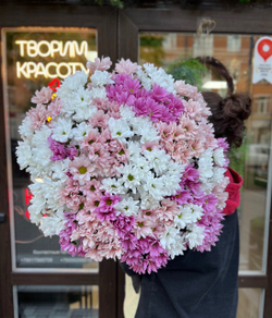 Хризантема Ромашка кустовая