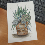 Картина авторская акварельная в паспарту 21х30 см на стену для интерьера "Суккуленты в горшке"