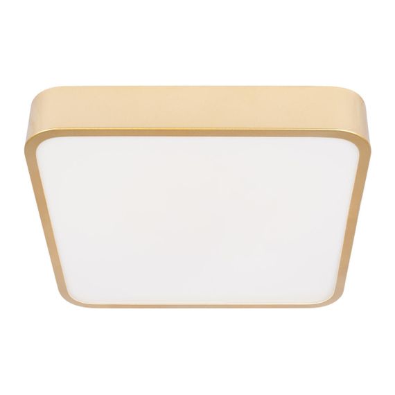 Потолочный светодиодный светильник Loft IT Flims 10228/C