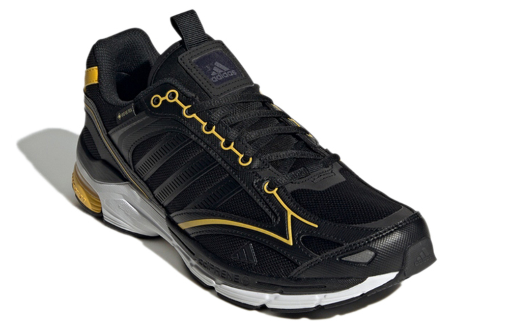 Кроссовки Adidas Spiritain 2000 Gtx