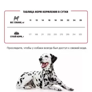 Уценка! Срок до 05.2024/ Сухой корм для взрослых собак средних пород, Karmy Medium Adult, с телятиной