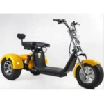 Электроскутер CityCoco Skyboard MyRussia (Маруся) BR60 3000W Trike