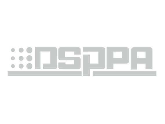 DSPPA переходник сетевой с китайской вилки на евровилку, с заземлением