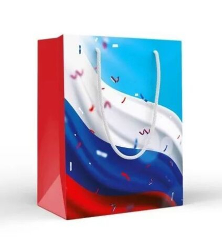 Пакет подар. бумажн. 18*23*10 см, 157гр/м2 Триколор