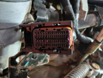 Двигатель в сборе MC11 44-50 2022 год.