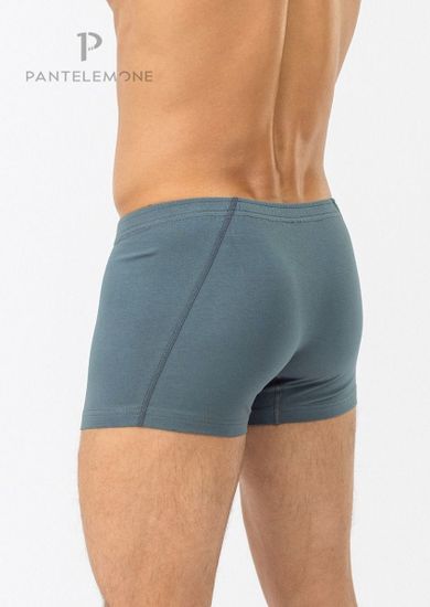 Трусы мужские боксеры Pantelemone PMH-1306, серо-зеленый