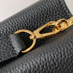 Louis Vuitton Capucines Mini