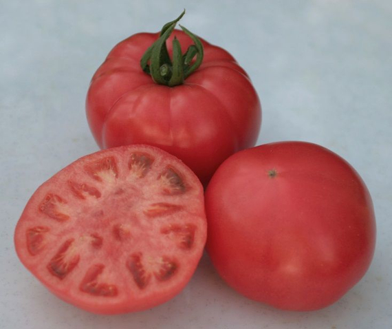 Ролекс F1 семена томата индетерминантного (Гавриш) – фото 4