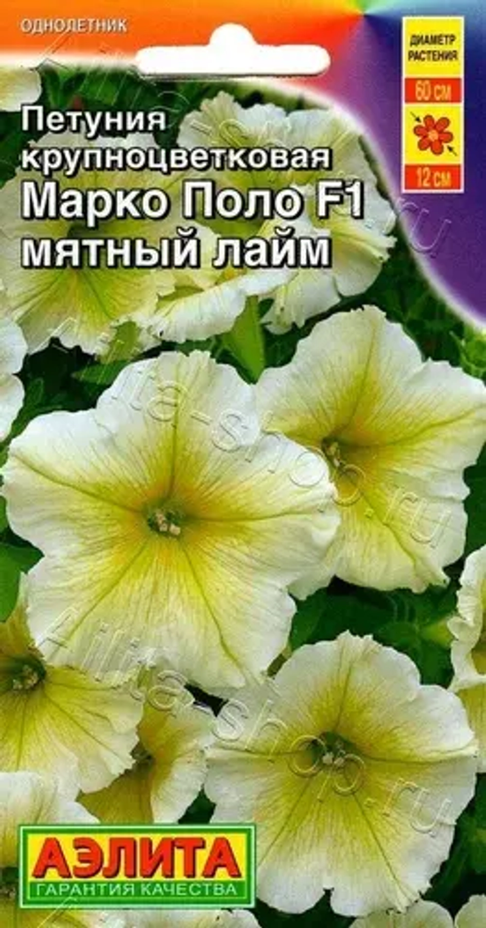 Петуния Поиск