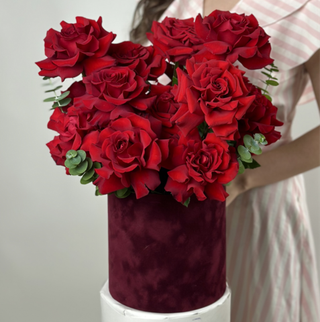 Bouquet of 25 red French Bordeaux roses in a box