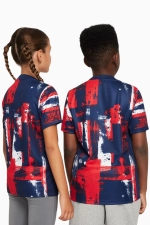 Футболка Nike PSG 24/25 Pre-Match Junior