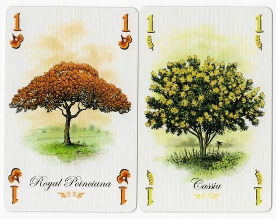 Настольная игра Арборетум