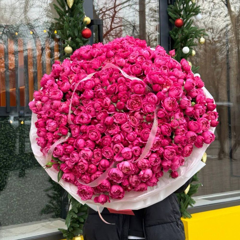 Bellalinda cerise box