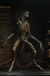 Фигурка NECA Alien 3 - 7” Scale Action Figure - Ultimate Dog Alien