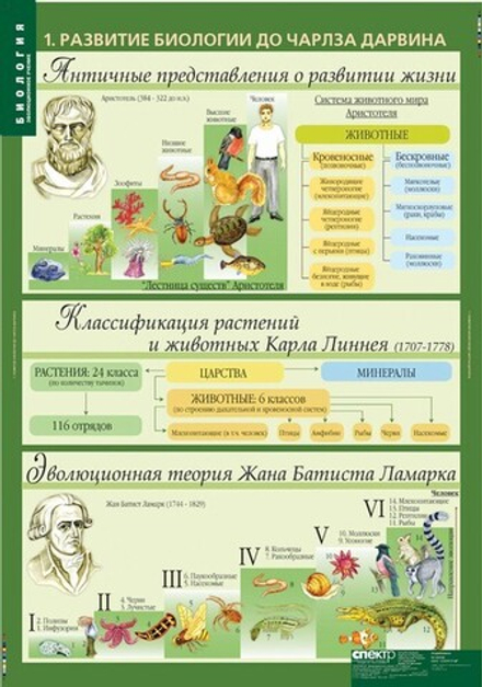 Комплект таблиц "Биология 10-11 кл. Эволюционное учение" (10 табл)