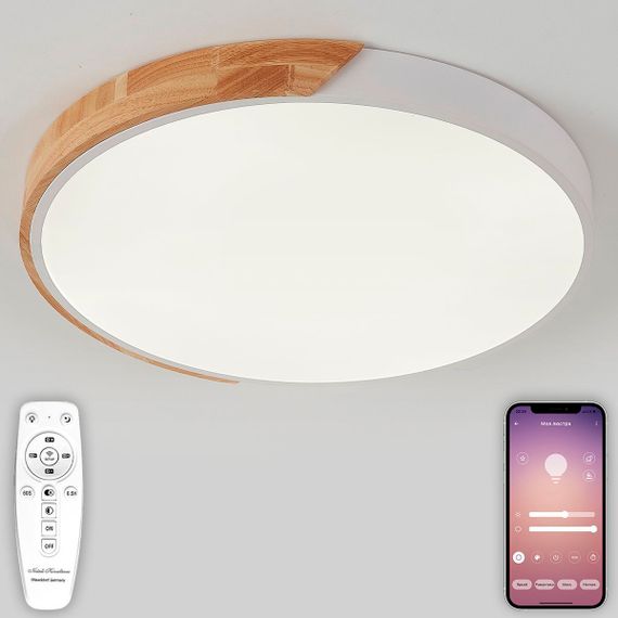 Потолочная люстра Natali Kovaltseva SCANDINAVIAN LED LAMPS 81182