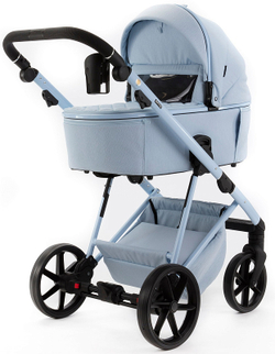 Детская коляска Adamex Delta Natura 2 в 1 DN-1-SKY