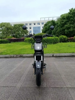 Электроскутер Skyboard Sevastopol 1800W