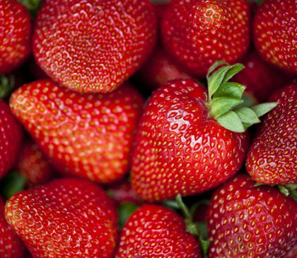 Земляника крупноплодная Сирия