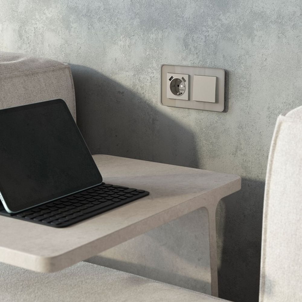 Накладка для розетки с заземлением и 2хUSB Werkel дымчатый W1279504