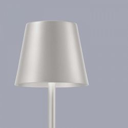 Настольная лампа декоративная F-promo Pyari 4617-1T