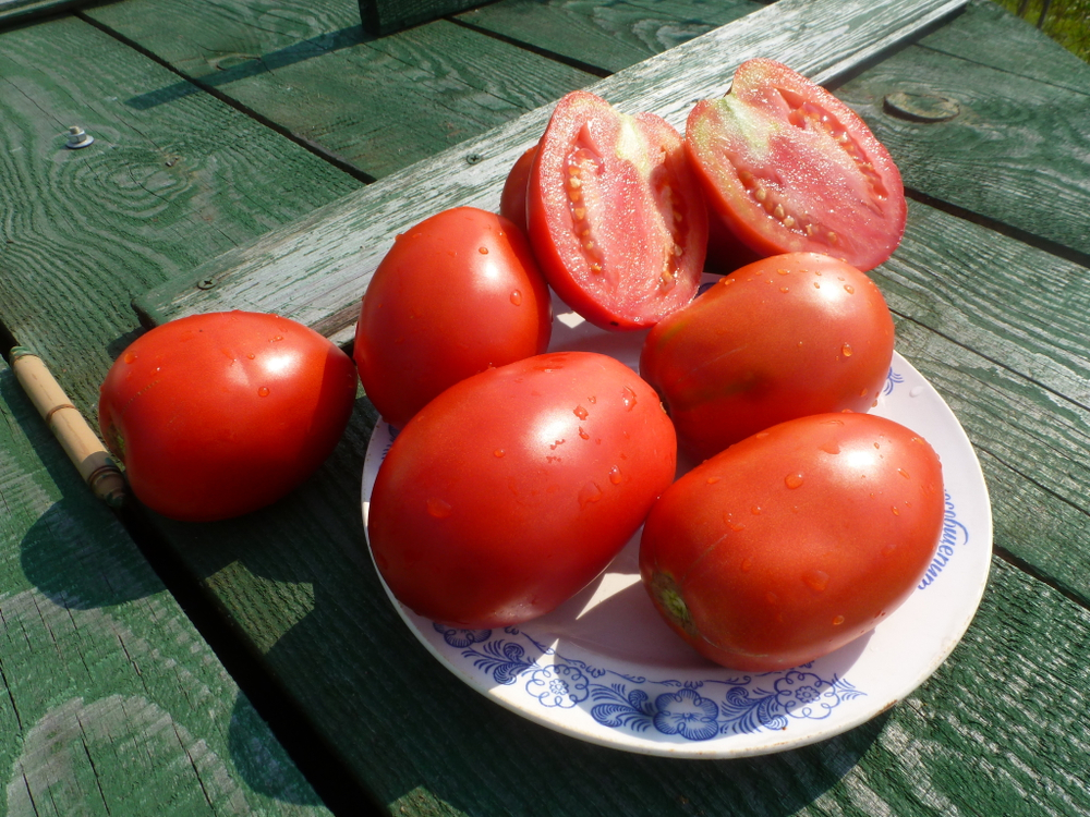 Помидоры - Amos Coli - Амос Коли