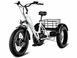 Электрофэтбайк Super Cross 73R