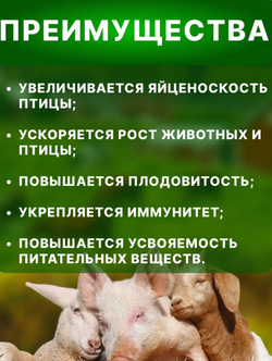 Рыбная мука кормовая добавка для животных, 500 г
