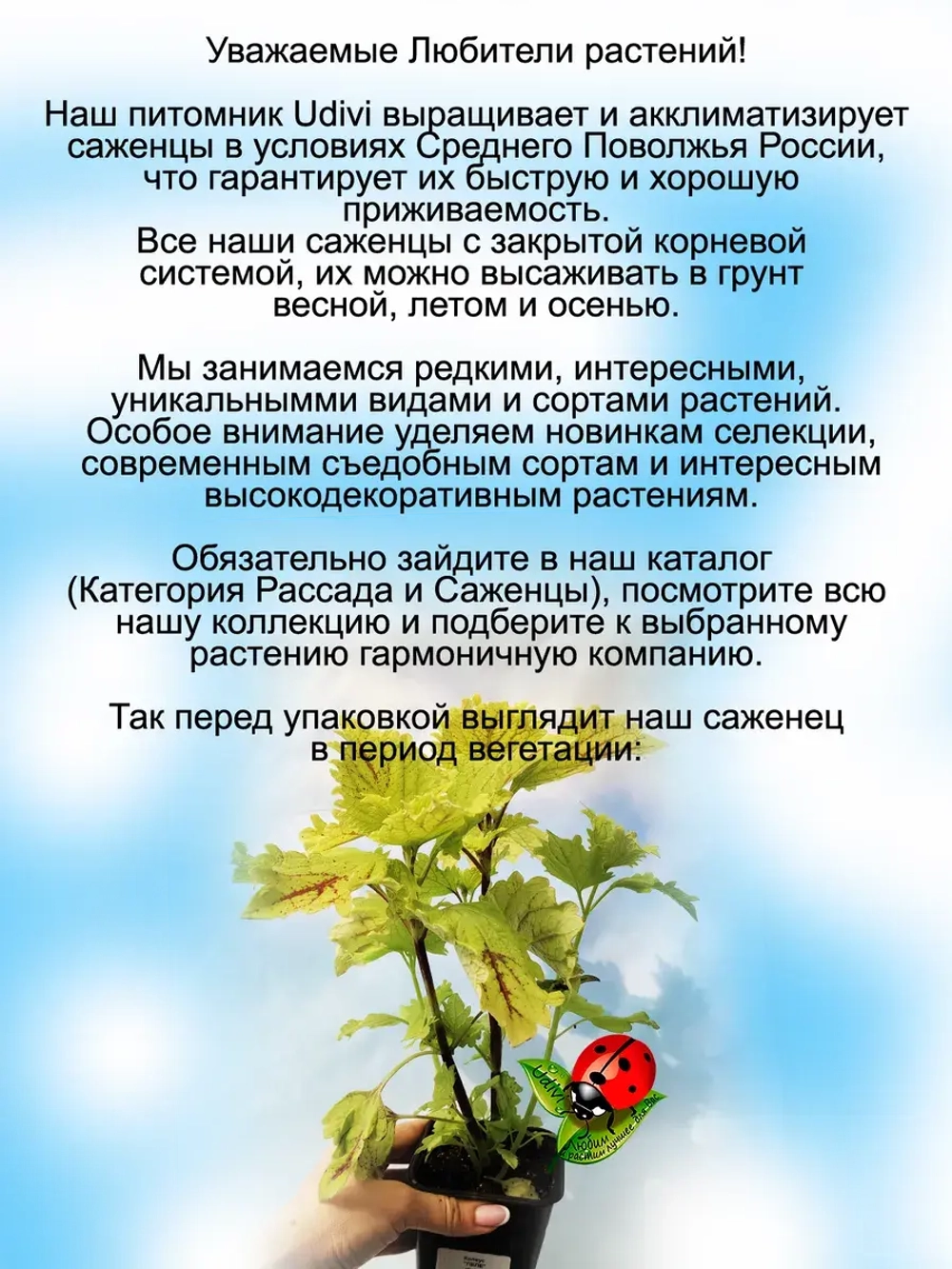 Колеус Пеле