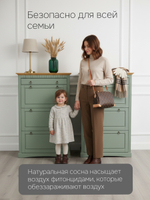 Обувница для прихожей Неаполь, 3 двери с ящиком, деревянная, зеленый