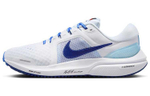 Кроссовки Nike Air Zoom Vomero 16 Prm