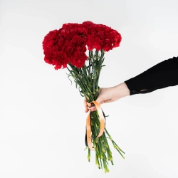 Bouquet of 15 red tulips