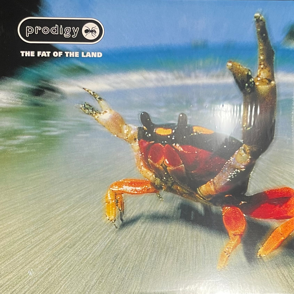 Виниловая пластинка Prodigy – The Fat Of The Land 2LP