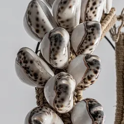 Фигурные ракушки 20557