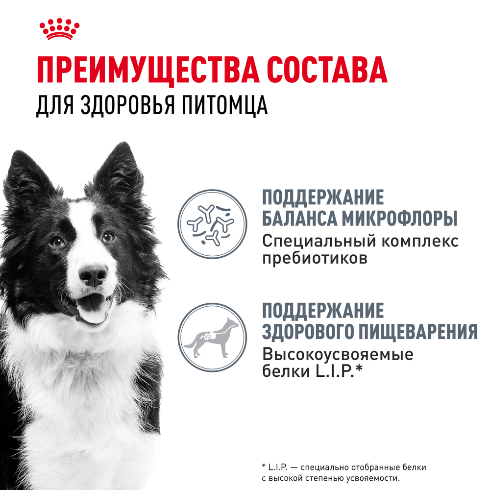 Royal Canin Medium Digestive Care Медиум Дайджестив кэа Корм сухой для взрослых собак средних размеров с чувствительным пищеварением 3кг