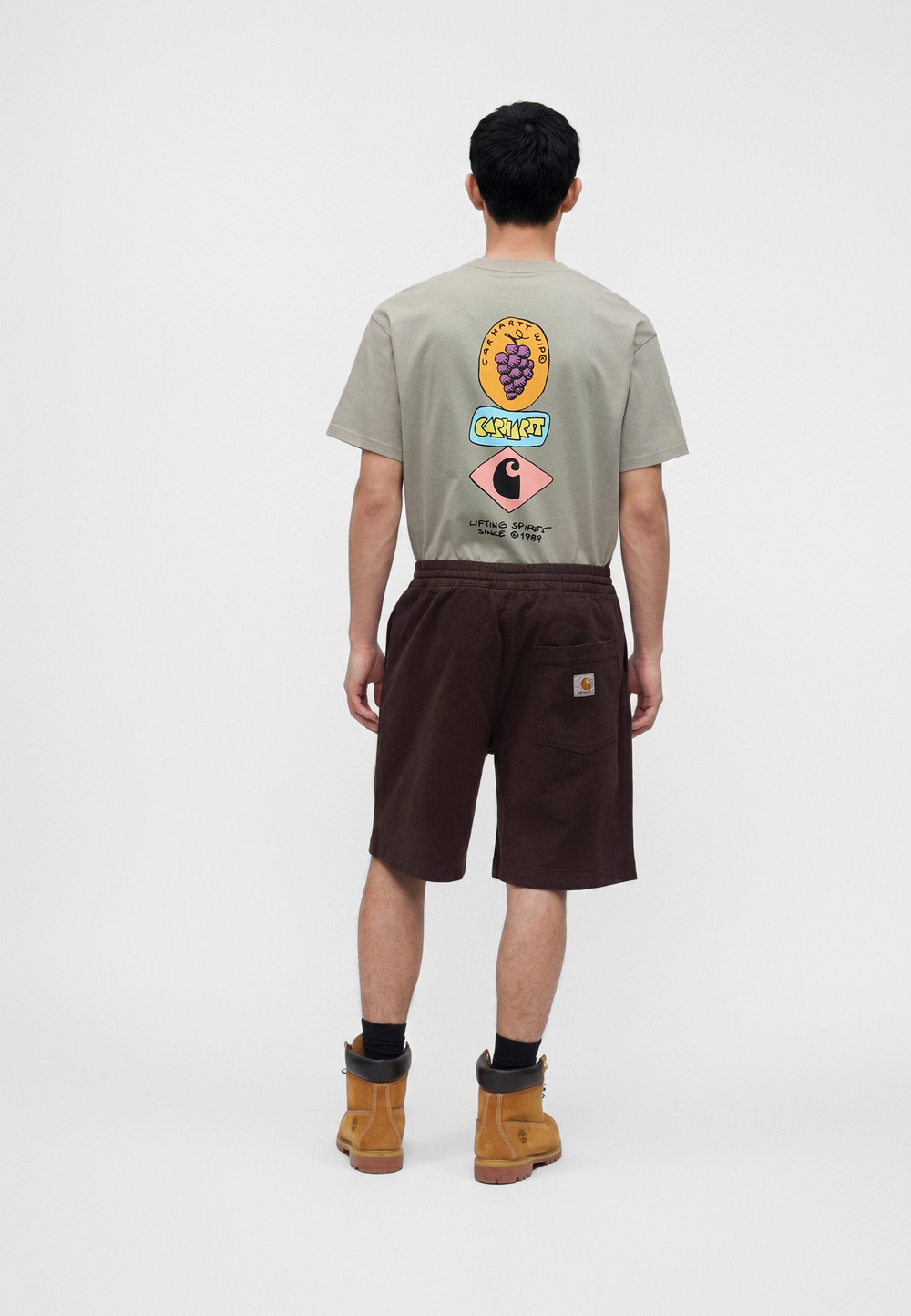 Carhartt WIP FLOYD  - Шорты - Коричневый