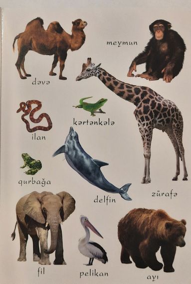 Mənim İlk Sözlərim