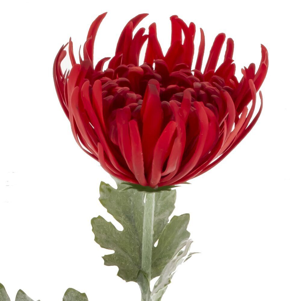 GAEM Цветок искусственный "Хризантема" (Real Touch), L20 W20 H78 см