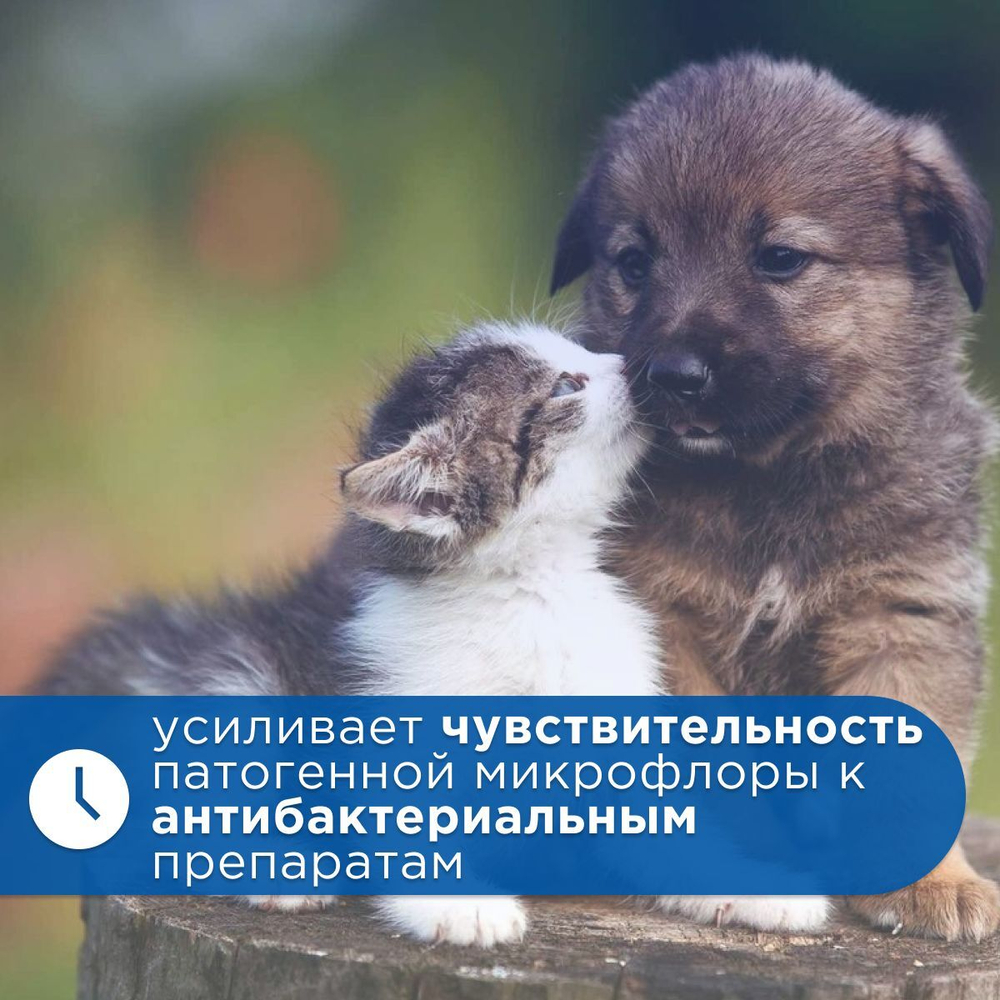 Лосьон для очистки ушей АВЗ БАРС для собак и кошек, 20 мл