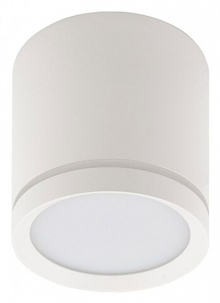 Накладной светильник Denkirs DK401 DK4013-WH