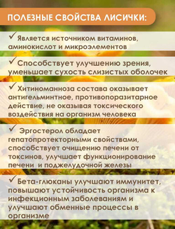Лисичка растительный экстракт, серия "Полезные травы", Пчела и человек (60 капсул)